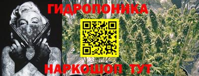 скорость Отрадный