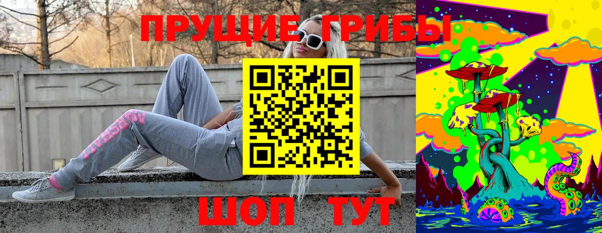 Псилоцибиновые грибы GOLDEN TEACHER Рязань